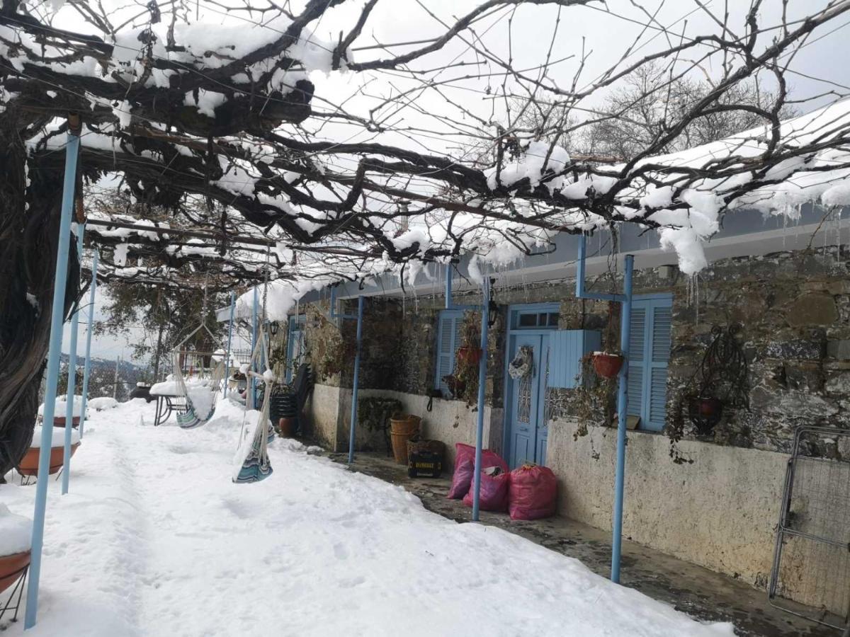 Holiday House Prodromos Eksteriør billede